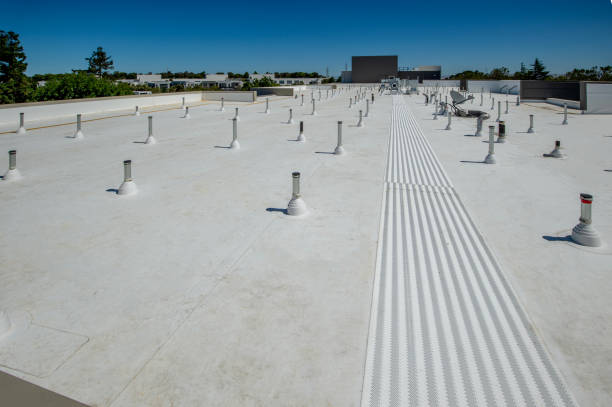 Best Roof Insulation Installation  in Stevensville, MD
